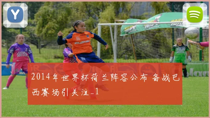 2014年世界杯荷兰阵容公布 备战巴西赛场引关注_1