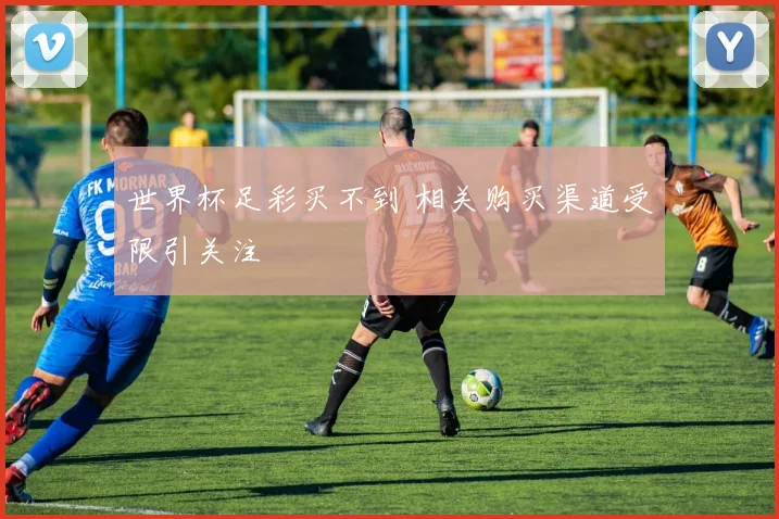 世界杯足彩买不到 相关购买渠道受限引关注