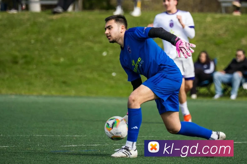 世界杯开户平台平台生态图